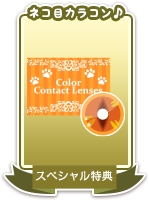 SP特典の受け取りはこちら