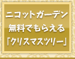 無料でもらえる！お庭で育てる「クリスマスツリー」