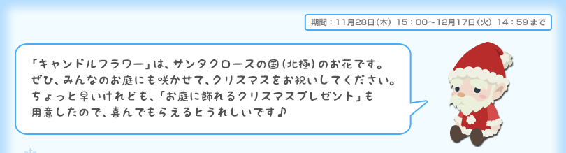 お庭に飾れるクリスマスプレゼント