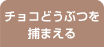 チョコどうぶつを捕まえる