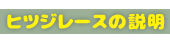 羊レースの説明