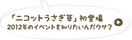 「ふ・し・ぎ・な♪ニコットうさぎ草」