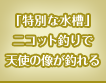 【特別な水槽】ニコット釣りで天使の像が釣れる